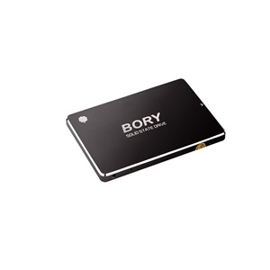 BORY R500-C256G 256Gb 550/510 SATA3 SSD 