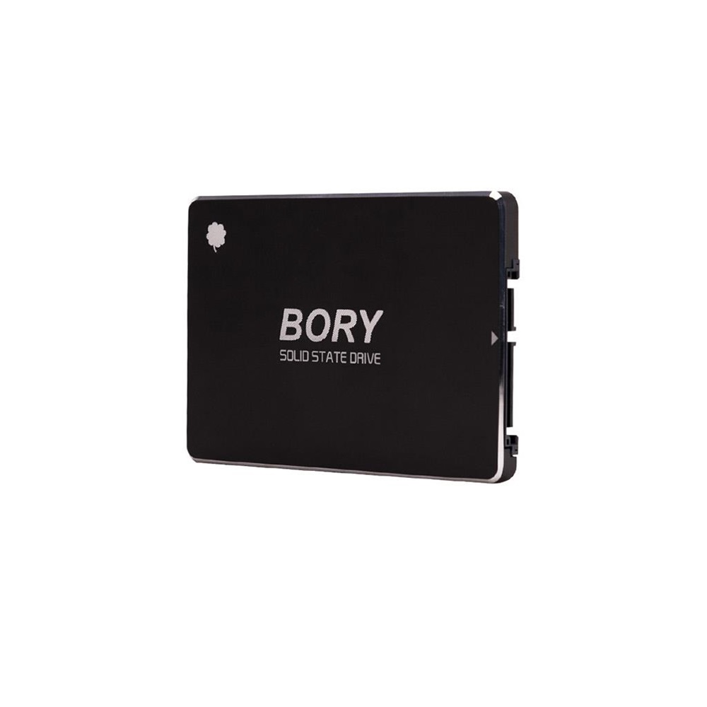 BORY R500-C512G 512Gb 550/510 SATA3 SSD 